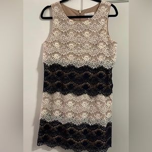 Navy & Cream Lace Jessica Simpson Dress Size 8